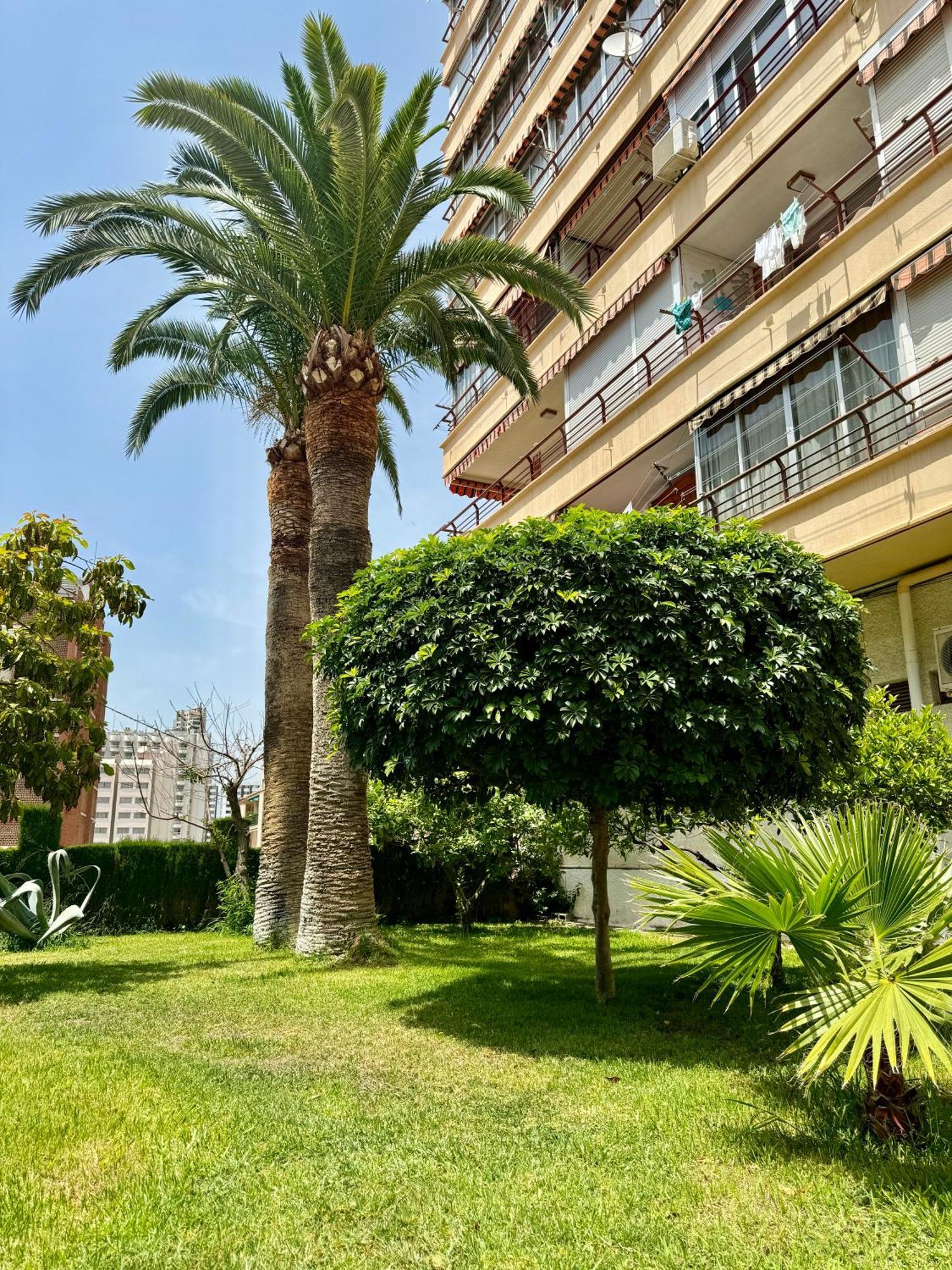 Apartment Piscis ベニドルム エクステリア 写真